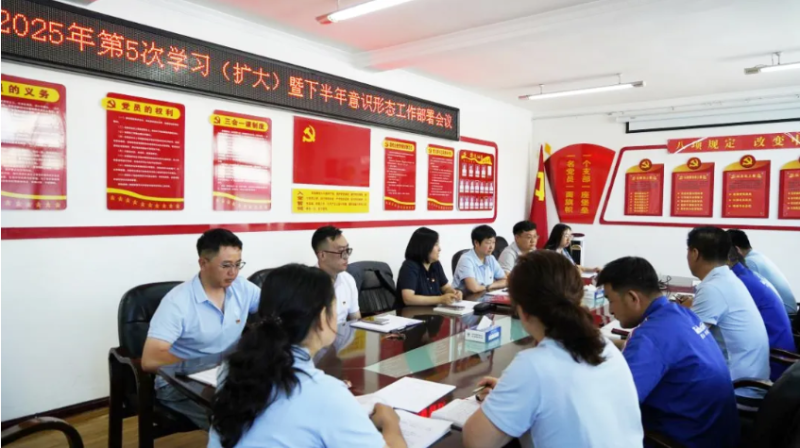 汽貿公司黨支部對學習教育“回頭看”工作再檢查再部署再推動
